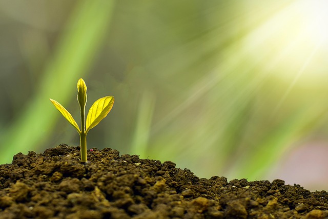 Sustainable Growth